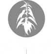 Kopřivná horský hotel